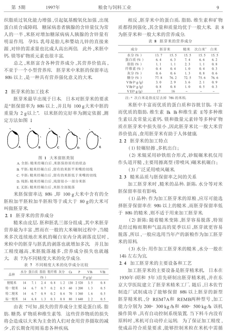 米胚的营养价值和胚芽米的加工技术_李爱华-3.jpg