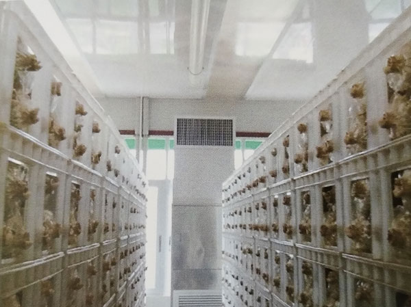 04.jpg