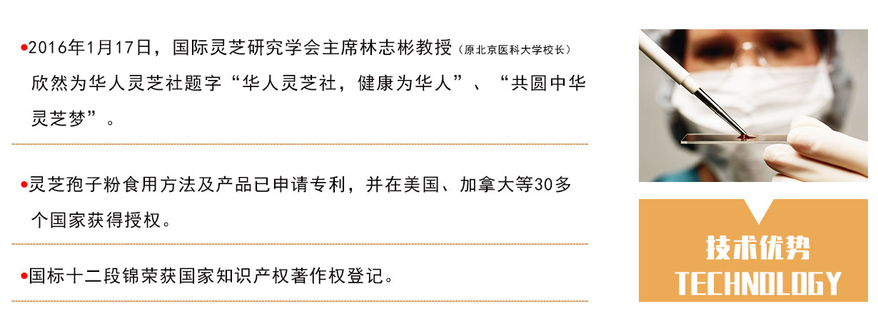 公司招商—已裁_05.jpg