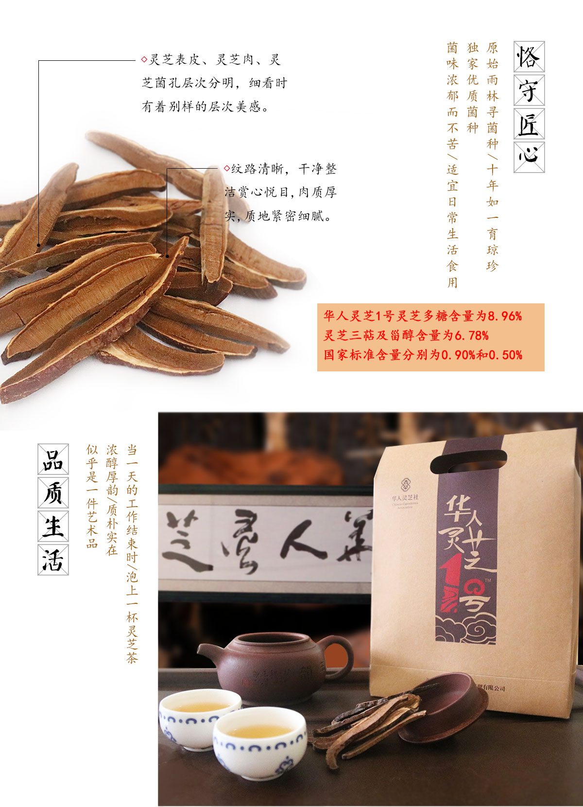 灵芝1号产品单页1200_06.jpg